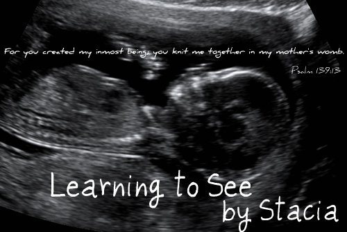Learning to See - Stacia